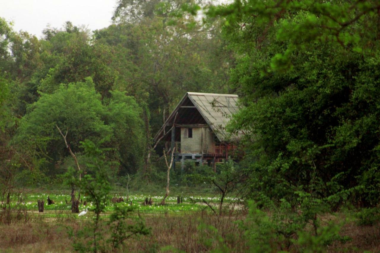 Wasgamu Safari Lodge Wasgamuwa Εξωτερικό φωτογραφία